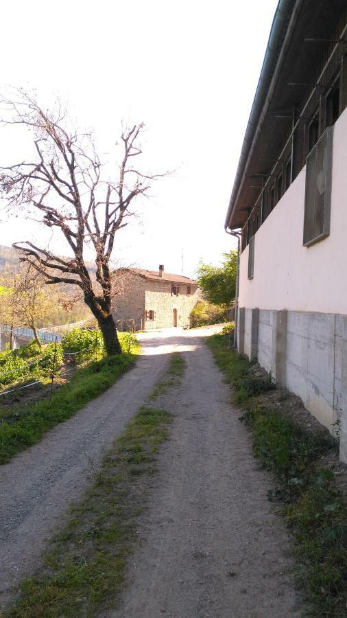 La Cartiera Dei Benandanti Villa Monghidoro Eksteriør billede